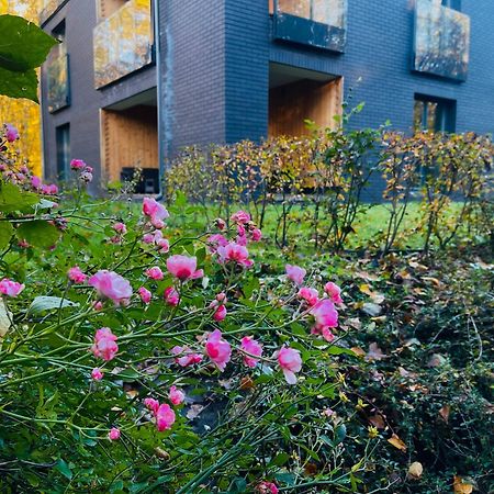 Apartament Magia Puszczy Z Widokiem Na Puszcze Bialowieska Hajnówka Exterior foto