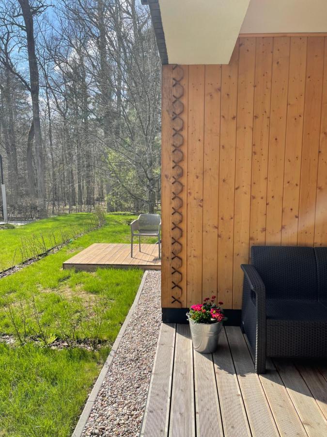 Apartament Magia Puszczy Z Widokiem Na Puszcze Bialowieska Hajnówka Exterior foto
