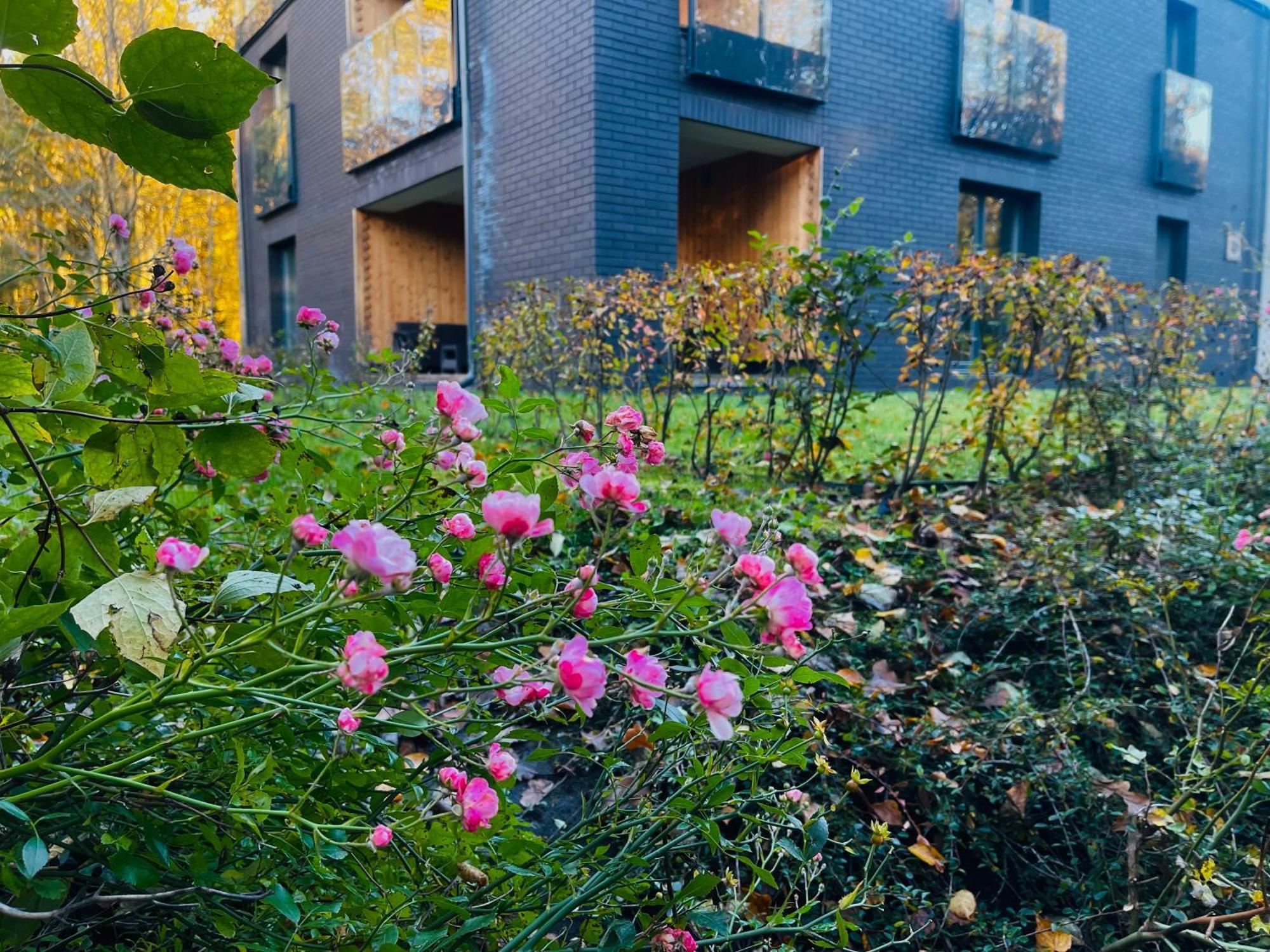 Apartament Magia Puszczy Z Widokiem Na Puszcze Bialowieska Hajnówka Exterior foto